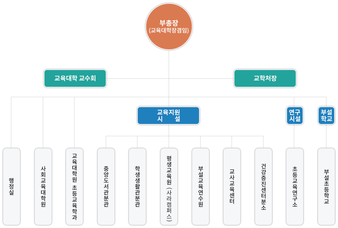 사라캠퍼스 교육대학 대학기구표